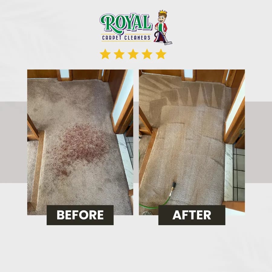 Professional carpet cleaning result