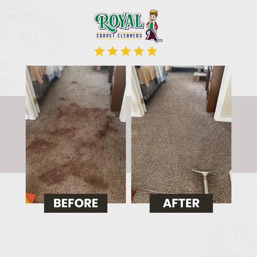 Carpet cleaning before-and-after result