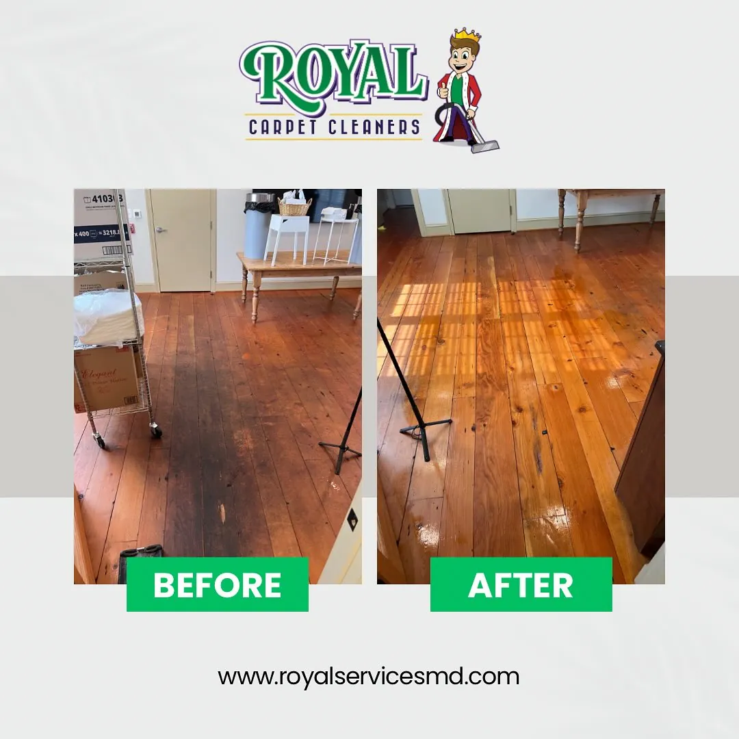 Tile and Grout Cleaning