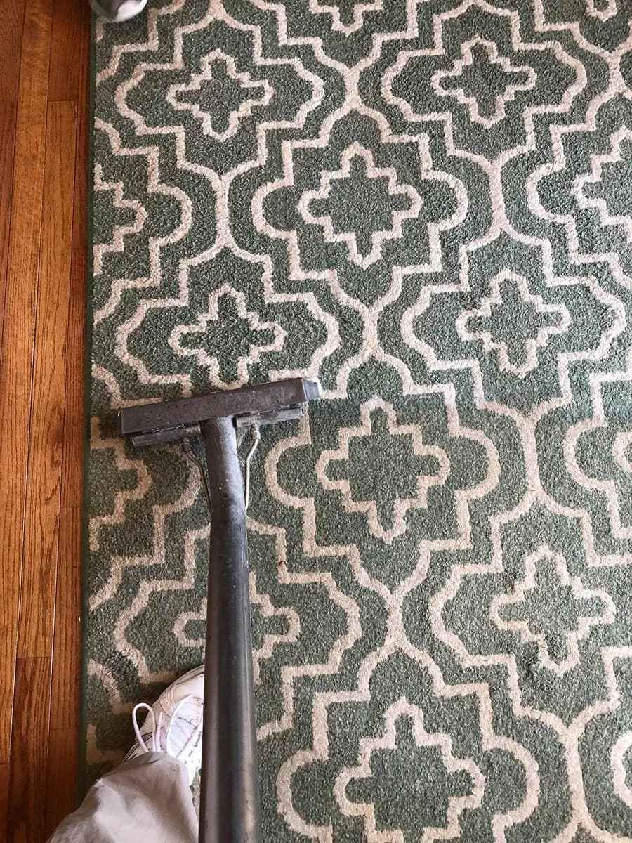 Deep area rug cleaning result on an oriental rug