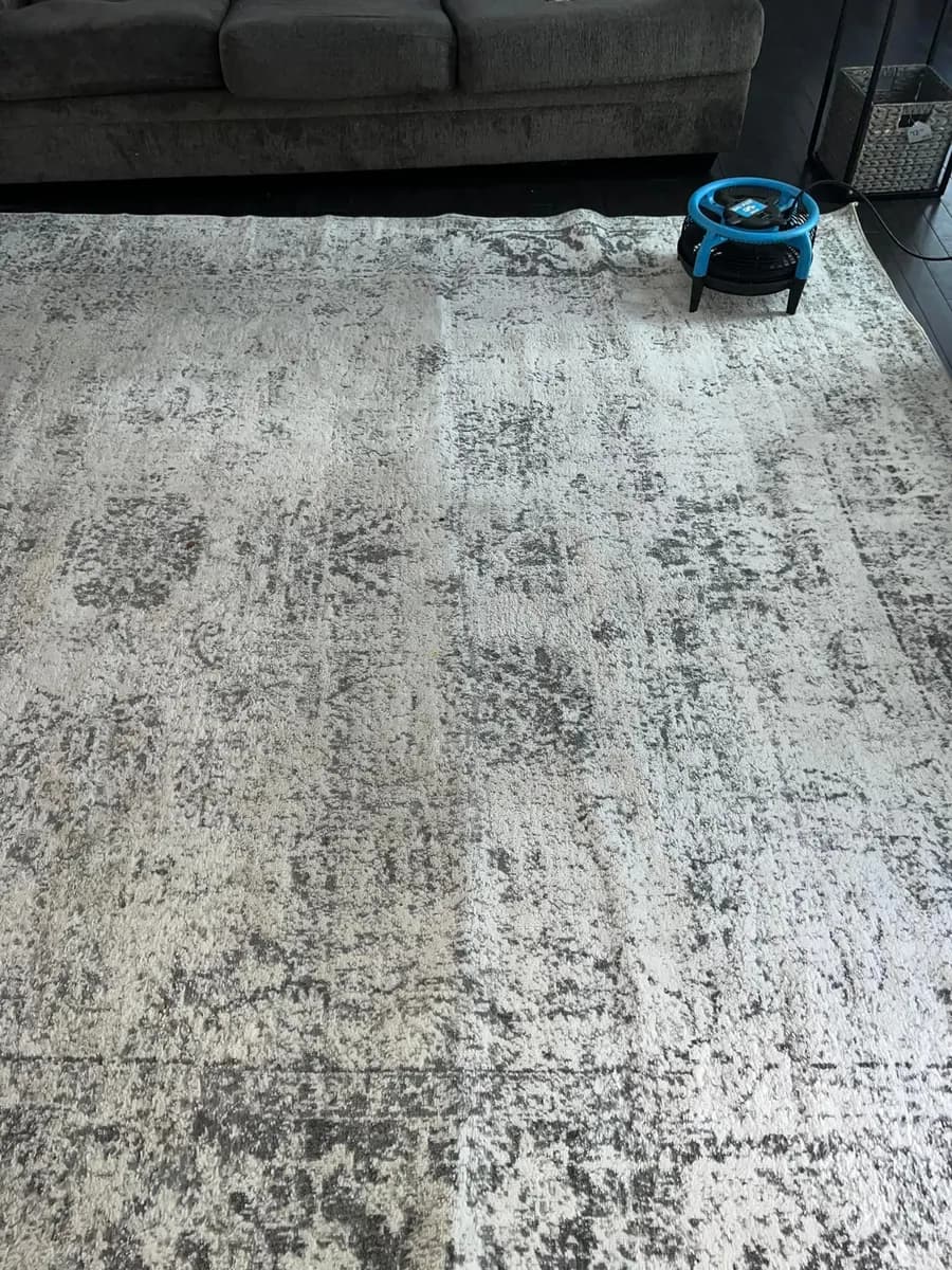 Royal Carpet Cleaners area rug restoration result