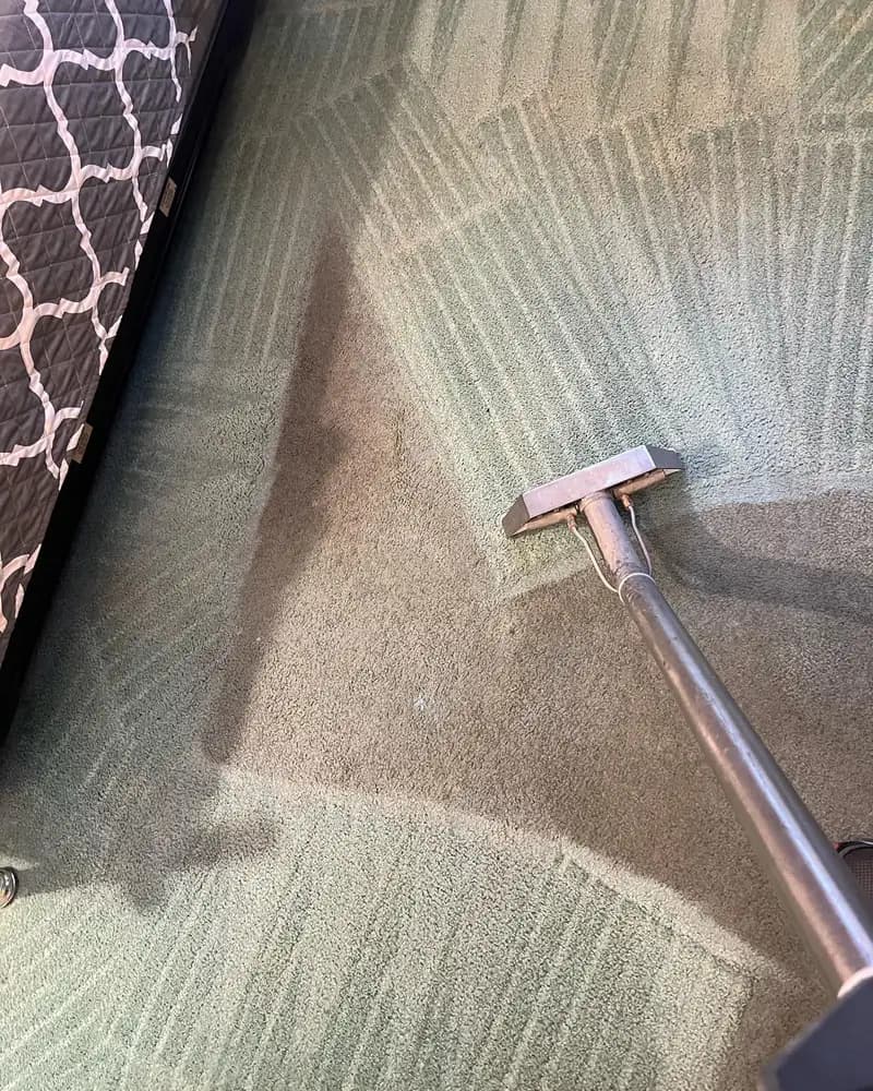 Carpet Cleaning