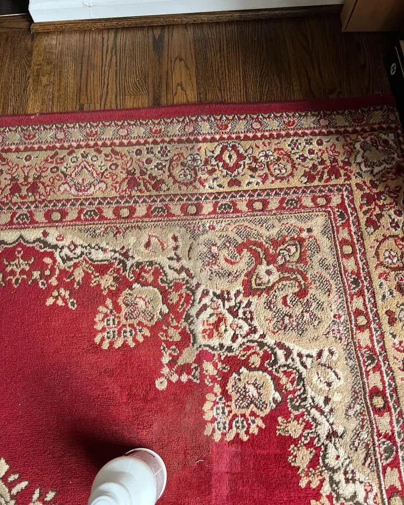 On-Site Area Rug Cleaning