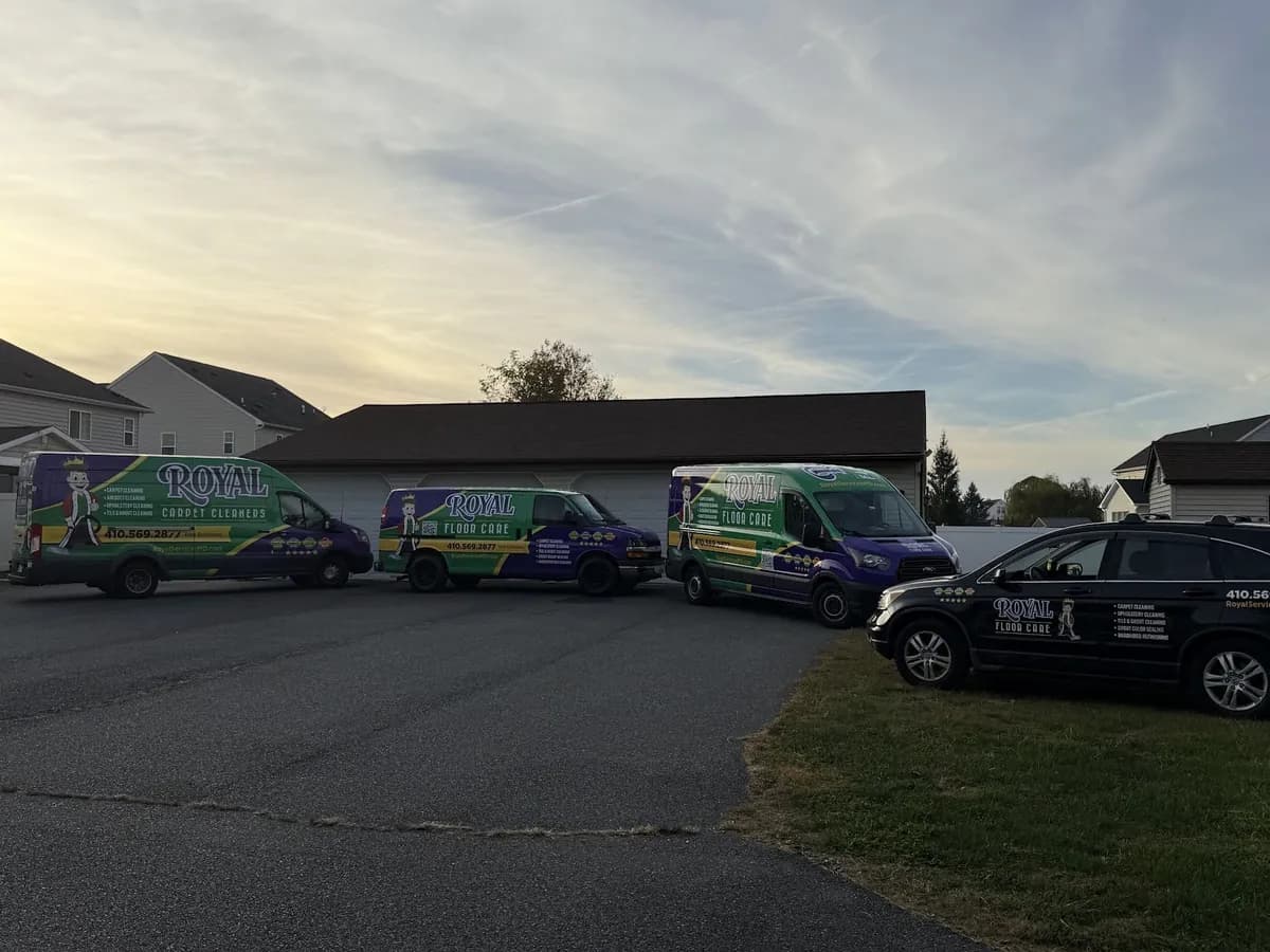Royal Carpet Cleaners professional service fleet