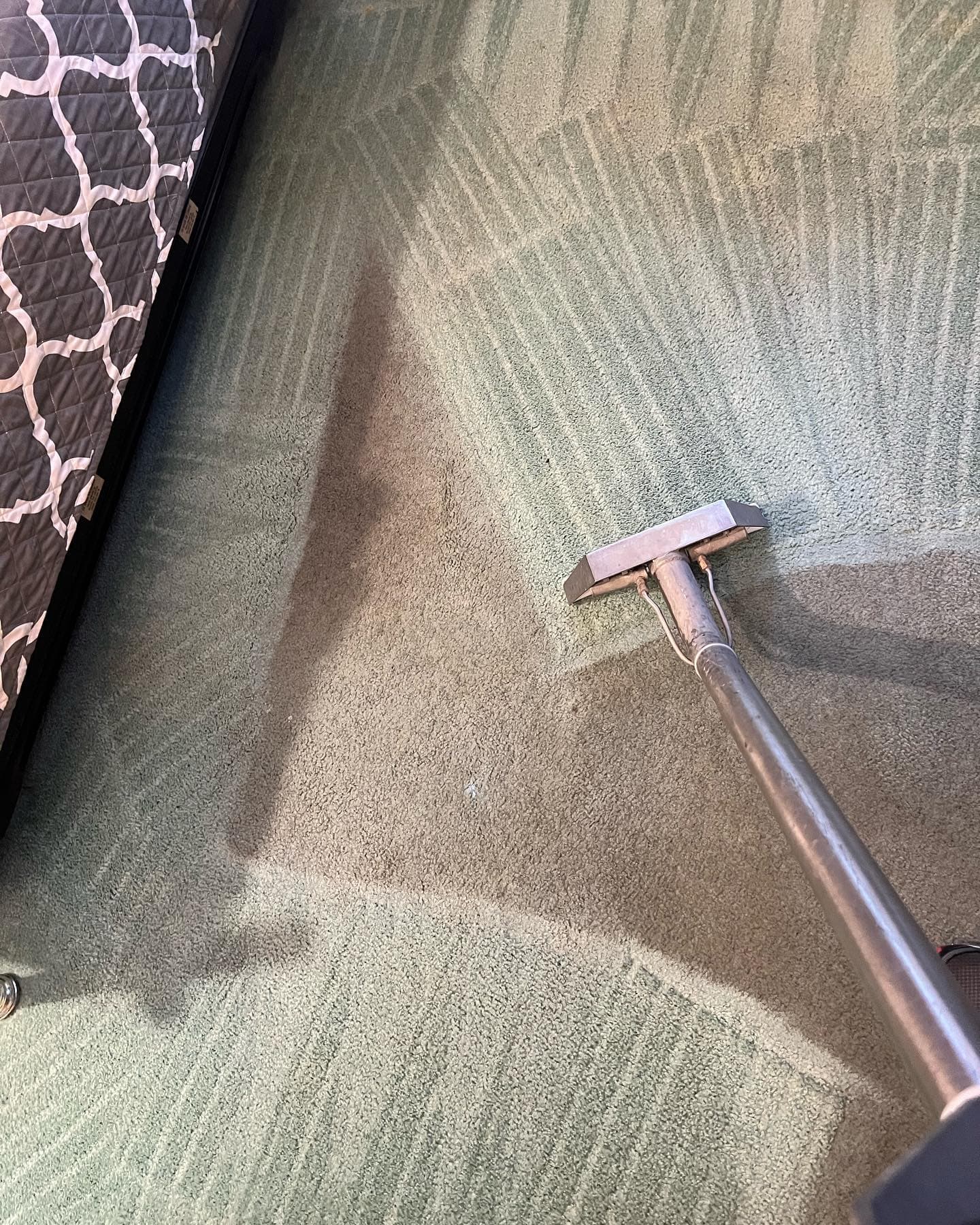 Why Professional Carpet Cleaning is Essential for Stubborn Stains