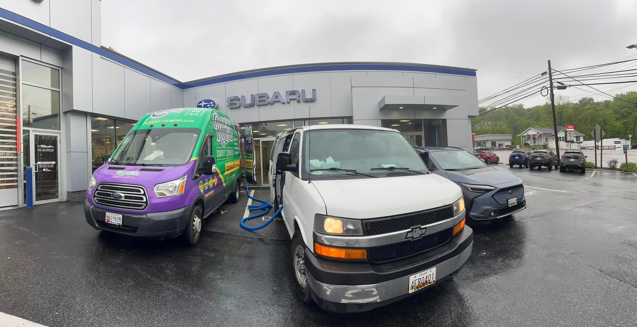 The Ultimate Guide to Carpet Cleaning: How Often Should You Do It?
